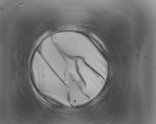 X0000081491475200702100018