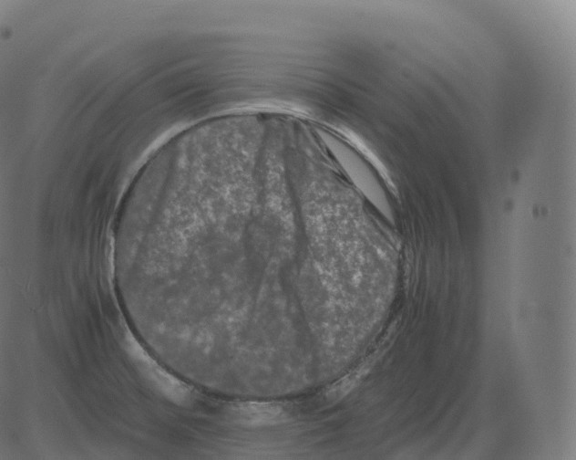 X0000081491476200702100018