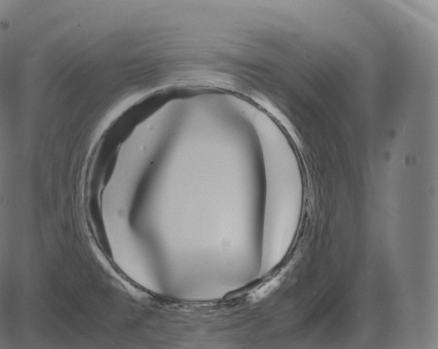 X0000081491477200702100018