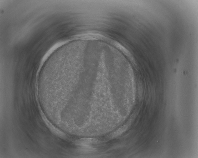 X0000081491478200702100018