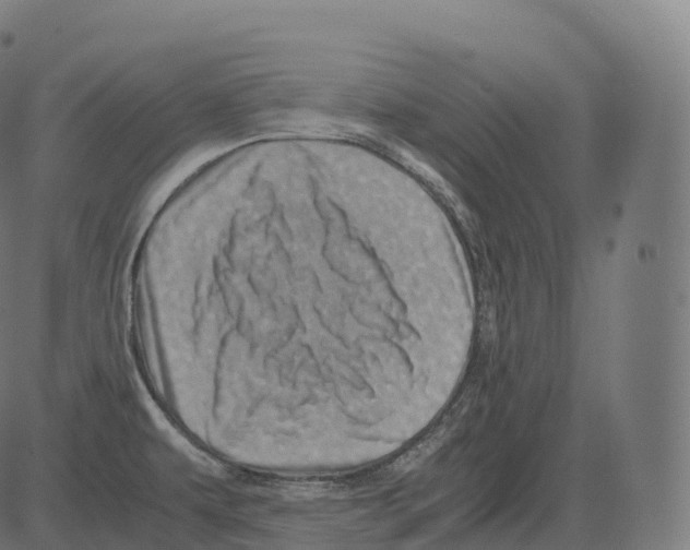 X0000081491479200702100017