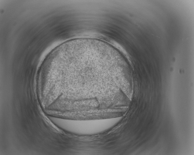 X0000081491480200702100017