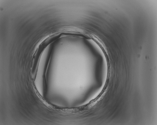 X0000081491481200702100017