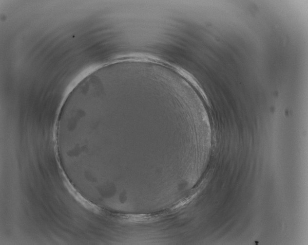 X0000081491482200702100017