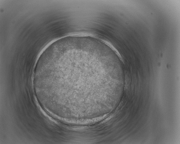 X0000081491484200702100017