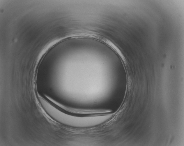 X0000081491485200702100017