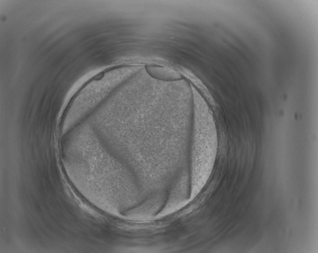 X0000081491486200702100017