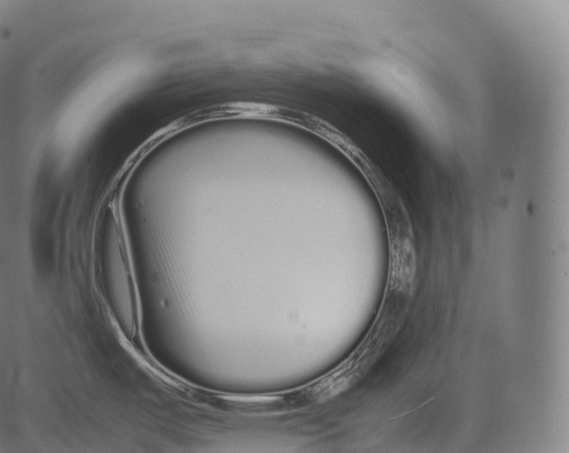 X0000081491487200702100017