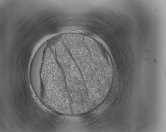 X0000081491488200702100017