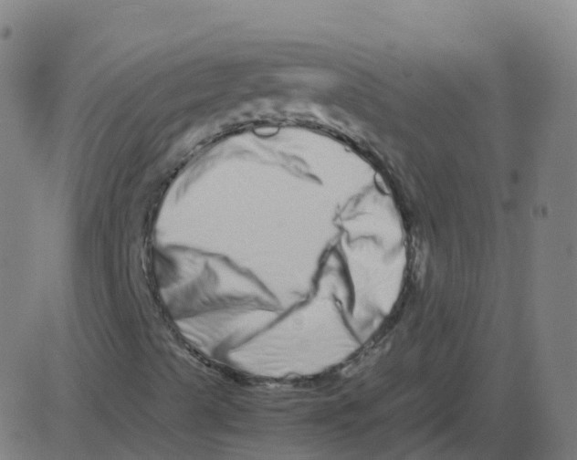 X0000081491489200702100017