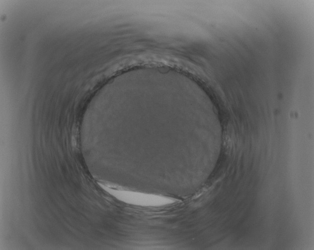 X0000081491490200702100017