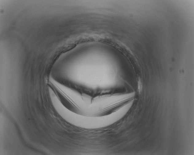 X0000081491492200702100017