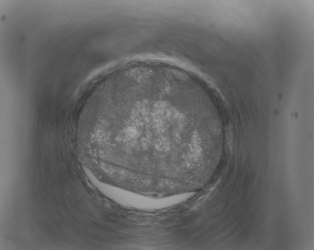 X0000081491494200702100017