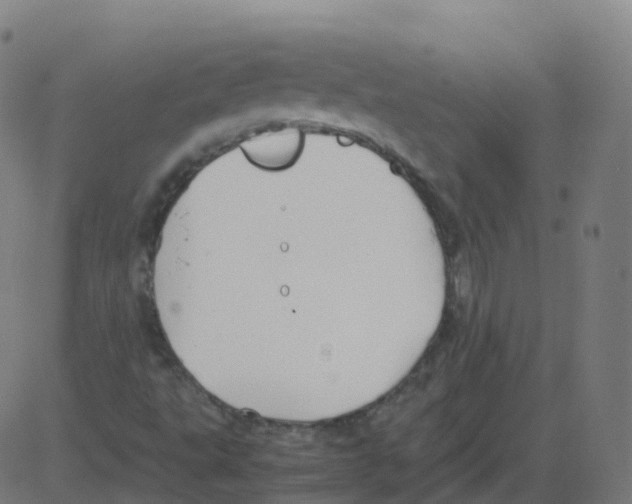 X0000081491495200702100017