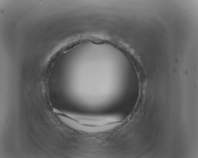 X0000081491496200702100017