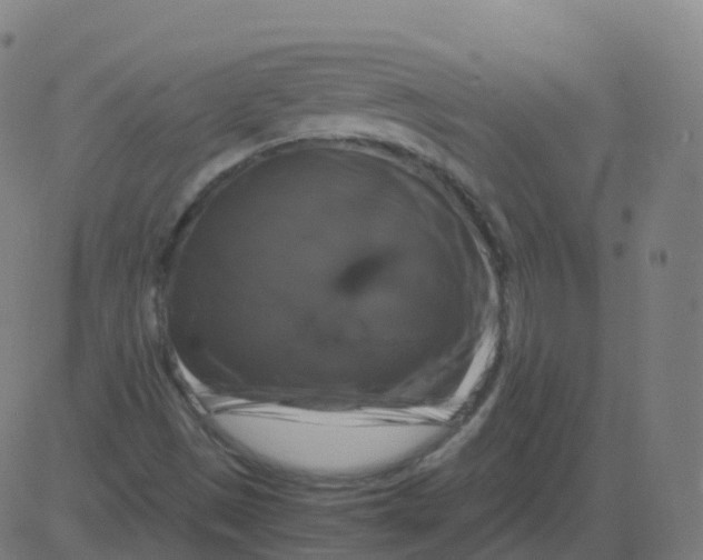 X0000081491497200702100017