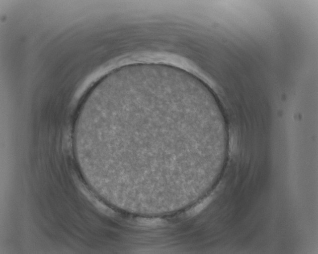 X0000081491498200702100017