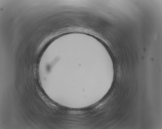 X0000081491499200702100017