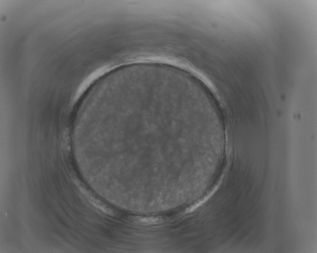 X0000081491501200702100017