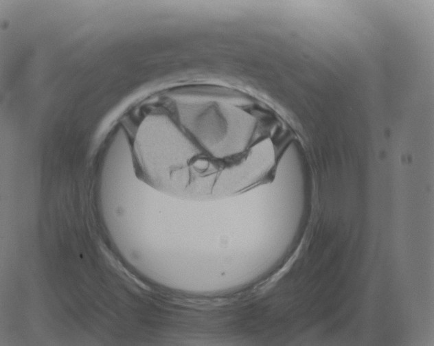 X0000081491502200702100017