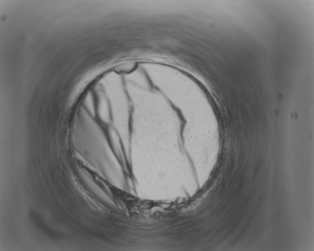 X0000081491507200702100017