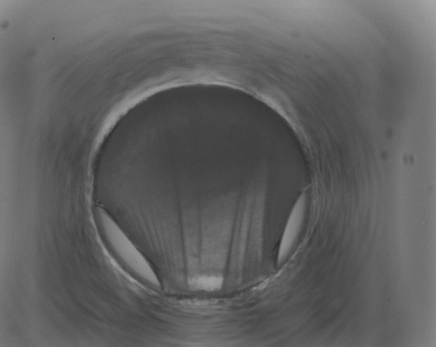 X0000081491508200702100017