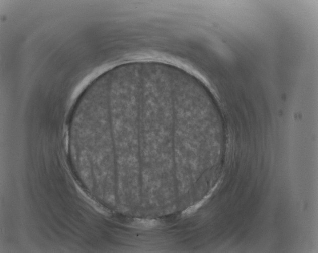 X0000081491509200702100017