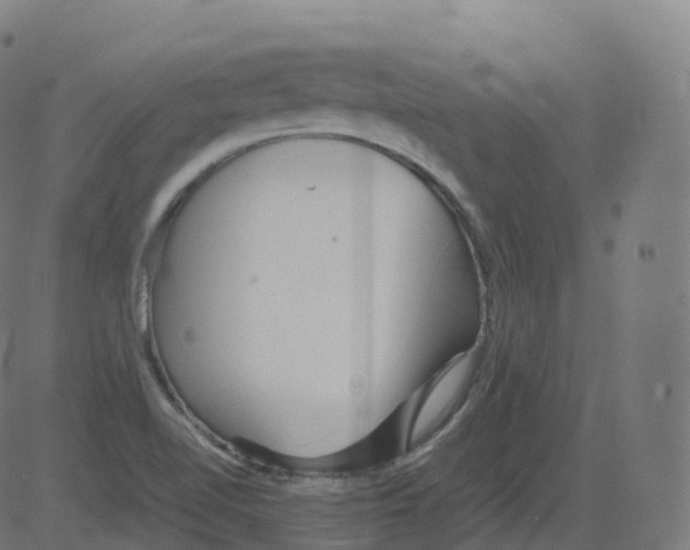 X0000081491510200702100017