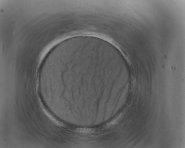 X0000081491511200702100017