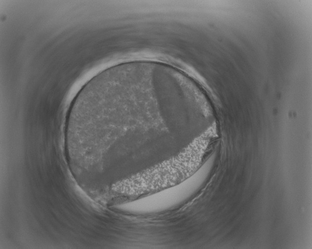 X0000081491512200702100017