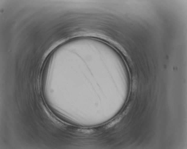 X0000081491513200702100017