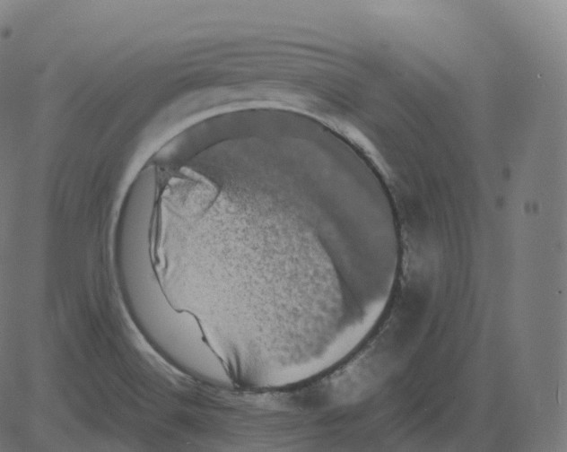 X0000081491516200702100017