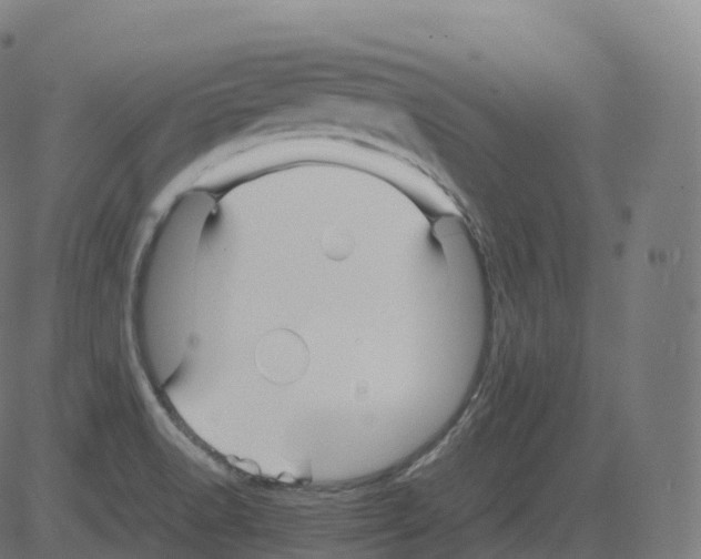 X0000081491518200702100017