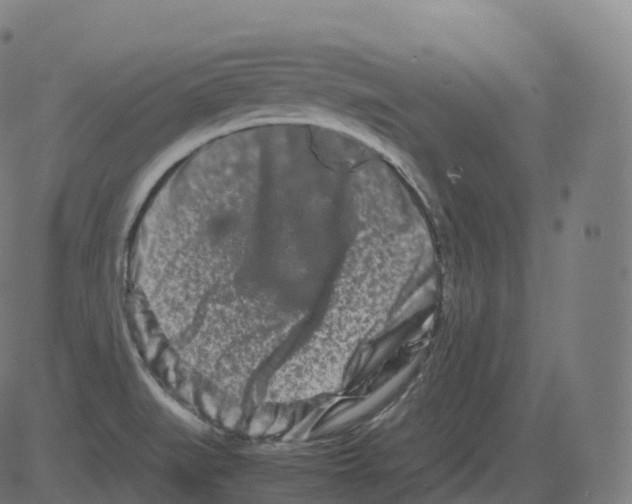 X0000081491519200702100017