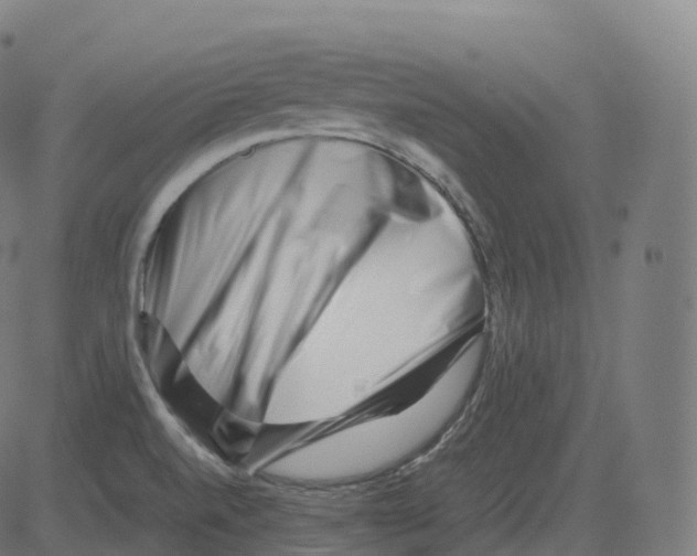 X0000081491520200702100017