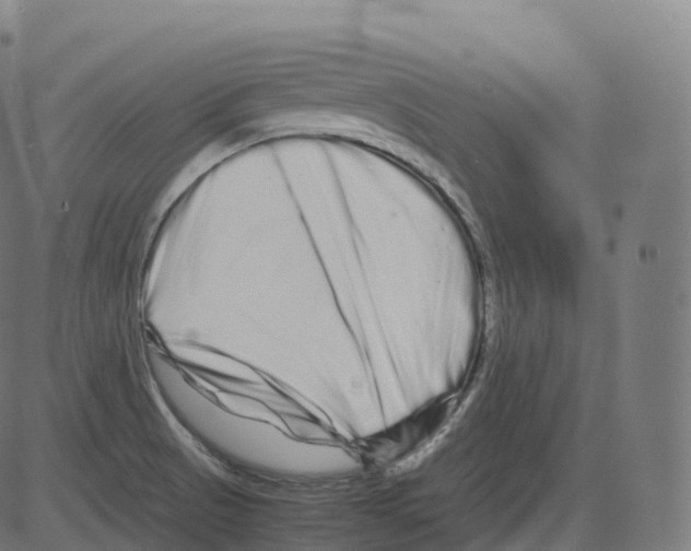 X0000081491521200702100017