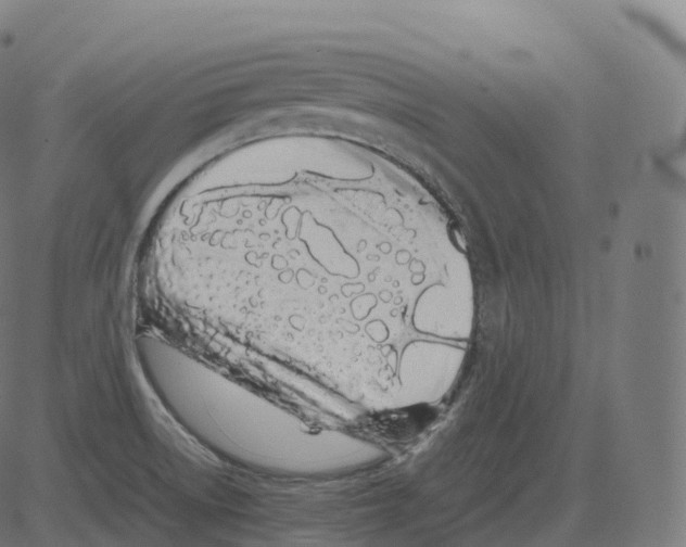 X0000081491522200702100017