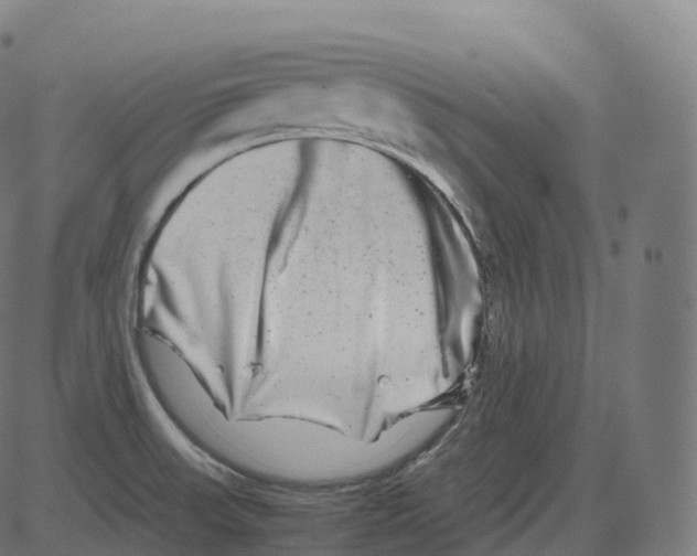 X0000081491523200702100017