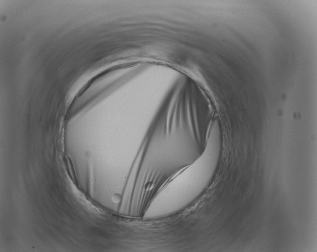 X0000081491524200702100017