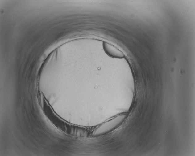 X0000081491526200702100017