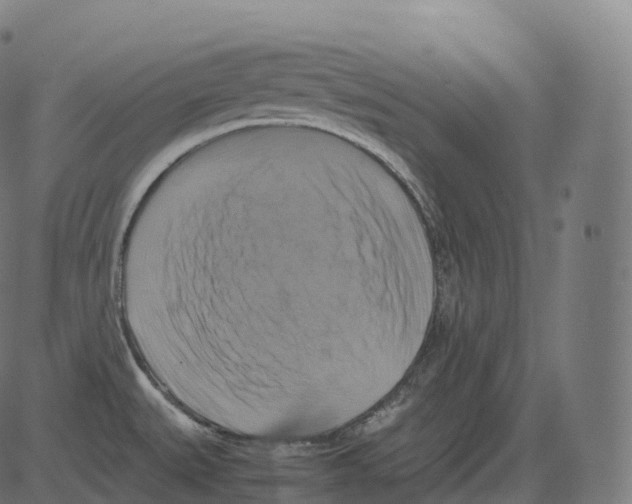 X0000081491527200702100017