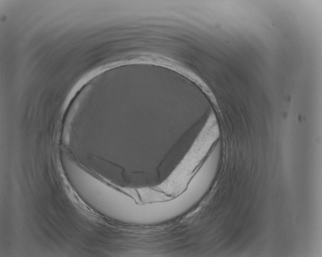 X0000081491530200702100017