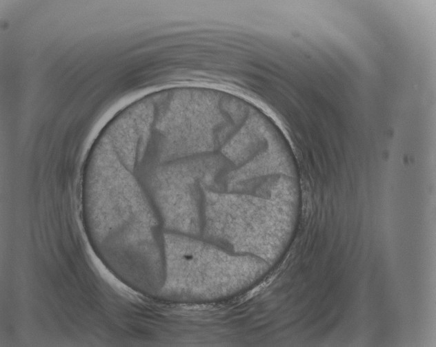 X0000081491531200702100017