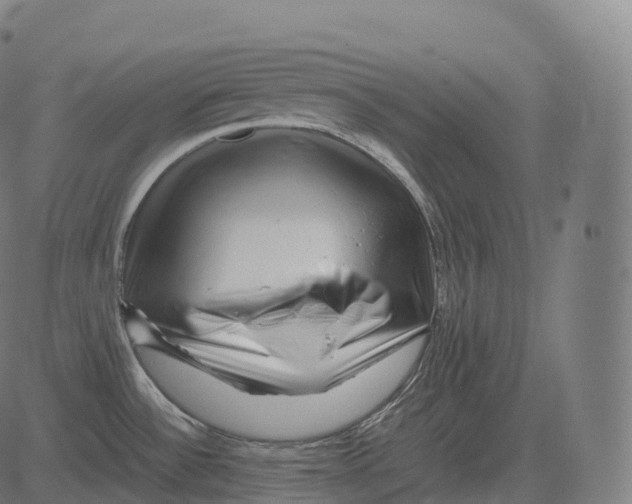 X0000081491532200702100017