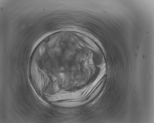 X0000081491533200702100017