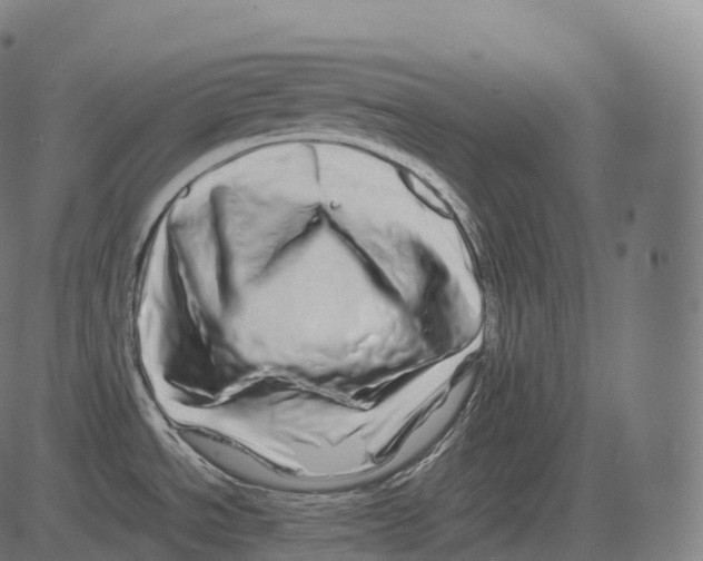 X0000081491534200702100017