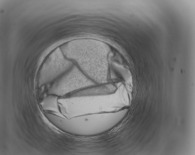 X0000081491535200702100017