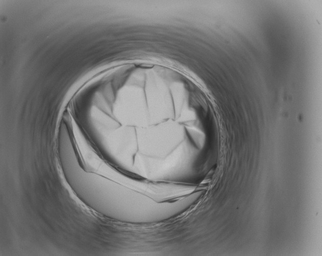 X0000081491536200702100017