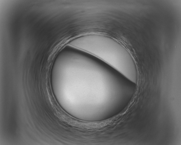 X0000081500001200701121151