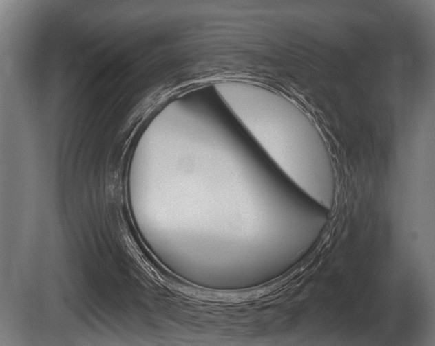 X0000081500002200701121151